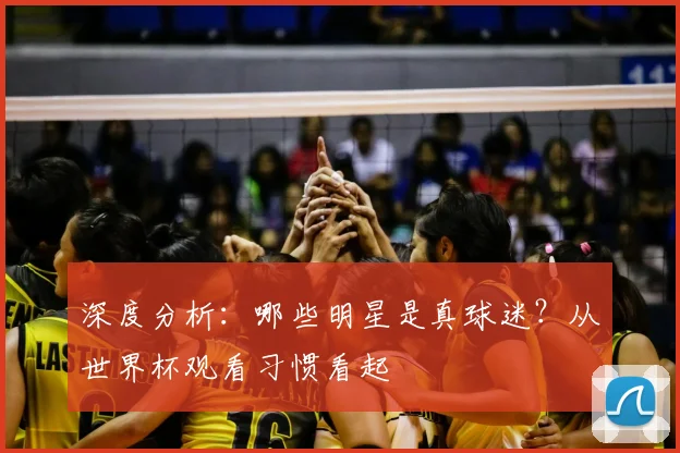 深度分析：哪些明星是真球迷？从世界杯观看习惯看起
