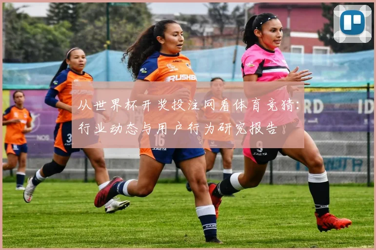 从世界杯开奖投注网看体育竞猜：行业动态与用户行为研究报告