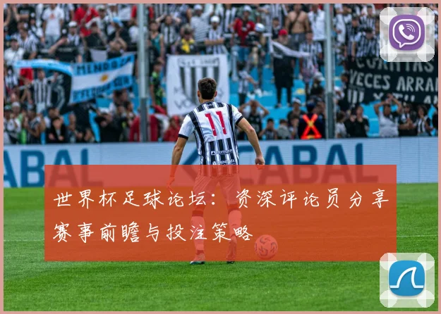 世界杯足球论坛：资深评论员分享赛事前瞻与投注策略
