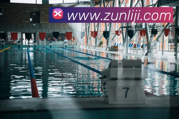 多媒体互动体验